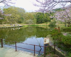 奥須磨公園｜神戸市須磨区「奥須磨公園」の風景画像。