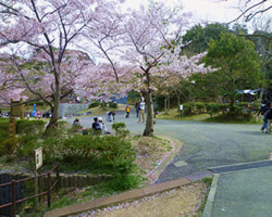 奥須磨公園｜神戸市須磨区「奥須磨公園」の画像