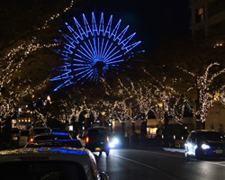 モザイク 街路樹イルミネーション夜景画像｜神戸市中央区ハーバーランド