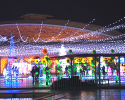 神戸市立フルーツフラワーパークのクリスマスイルミネーションイベントの風景